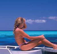 Mike Ball Dive Expeditions - Tourism Hervey Bay