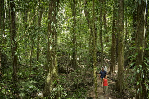 Mossman Gorge Centre - Tourism Hervey Bay 1