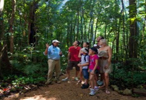 Ngadiku Dreamtime Walks - Mossman Gorge Centre - Tourism Hervey Bay 1
