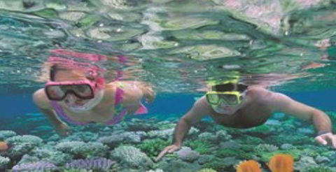 Quicksilver Cruises - Hervey Bay Accommodation 2