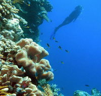 Reef Magic Cruises - Tourism Hervey Bay