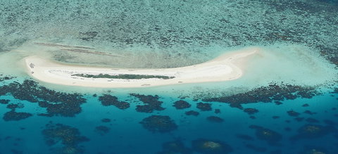 Seastar Cruises - Hervey Bay Accommodation 3