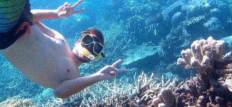 Seastar Cruises - Hervey Bay Accommodation 4