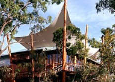 Skybury Coffee, The Australian Coffee Centre - Tourism Hervey Bay 2