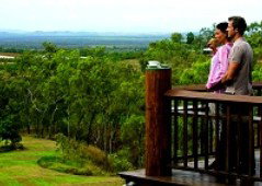 Skybury Coffee, The Australian Coffee Centre - Tourism Hervey Bay 4