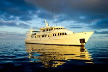 Spirit Of Freedom - Hervey Bay Accommodation 0