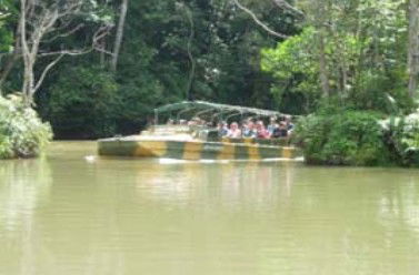 Tropic Wings Coach Tours - Tourism Hervey Bay 1