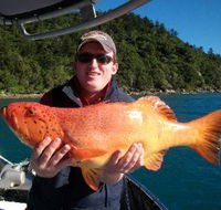 Gone Fishing by Coral Sea Fishing Charters Airlie Beach - Hervey Bay Accommodation