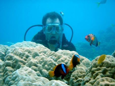 Illusions - Hervey Bay Accommodation 1