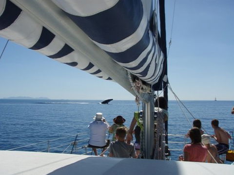 Illusions - Hervey Bay Accommodation 2