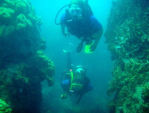 Illusions - Hervey Bay Accommodation 4