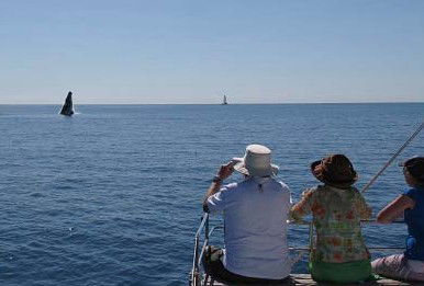 Illusions - Hervey Bay Accommodation 5