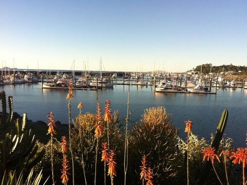 Mantaray Charters - Hervey Bay Accommodation 0