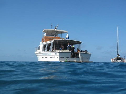 Mantaray Charters - Hervey Bay Accommodation 3
