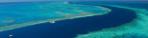 Cruise Whitsundays - Hervey Bay Accommodation 0