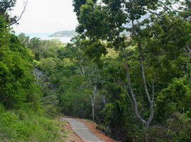 The Airlie Creek Track - Hervey Bay Accommodation 1