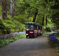 Araluen Botanic Park - Hervey Bay Accommodation
