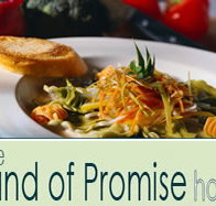 Land of Promise Hotel - Tourism Hervey Bay