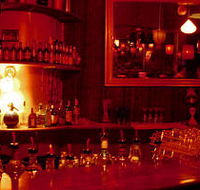 The Night Cat - Hervey Bay Accommodation