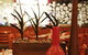 Cherry Hill Tavern - thumb 2