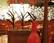 Cherry Hill Tavern - Hervey Bay Accommodation 2