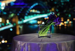 Summit - Orbit Lounge Bar - Hervey Bay Accommodation 3