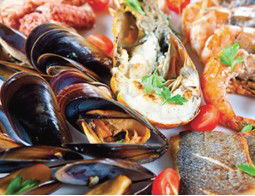 Pelagos Greek Tavern - Hervey Bay Accommodation 2