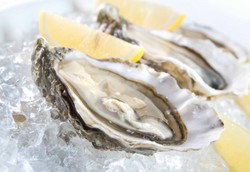 Seagulls Club - Hervey Bay Accommodation 2