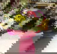 Bahia Restaurant - Hervey Bay Accommodation