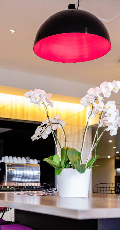 MRepublic Restaurant, Bar And Lounge - Tourism Hervey Bay 4