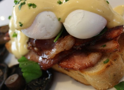 Raphael's On Brighton - Hervey Bay Accommodation 2