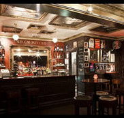 Paris Cat - Hervey Bay Accommodation