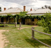 The Blue Duck Inn Hotel - Hervey Bay Accommodation