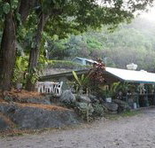Ellis Beach Bar  Grill - Hervey Bay Accommodation