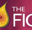 Pickled Fig - Hervey Bay Accommodation