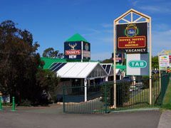 Oaks Hotel - Hervey Bay Accommodation 1