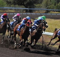 Alice Springs Turf Club - Hervey Bay Accommodation