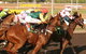 Darwin Turf Club - thumb 1