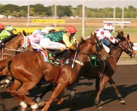 Darwin Turf Club - Tourism Hervey Bay 1