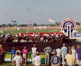 Darwin Turf Club - Tourism Hervey Bay 0