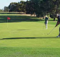 Waikerie Golf Club - Tourism Hervey Bay