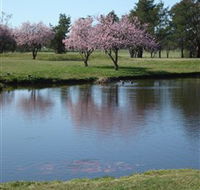 RMC Golf Club - Hervey Bay Accommodation
