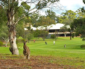 Merimbula NSW Hervey Bay Accommodation