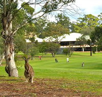 Pambula Merimbula Golf Club - Hervey Bay Accommodation