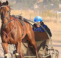 Ballarat  District Trotting Club - Hervey Bay Accommodation
