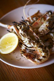 Alira - Tourism Hervey Bay 2