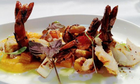 Morena - Tourism Hervey Bay 1