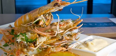 Garfish - Hervey Bay Accommodation 5