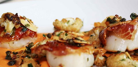 MoVida Sydney - Tourism Hervey Bay 0