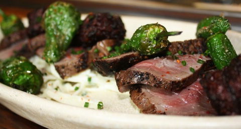 MoVida Sydney - Tourism Hervey Bay 1